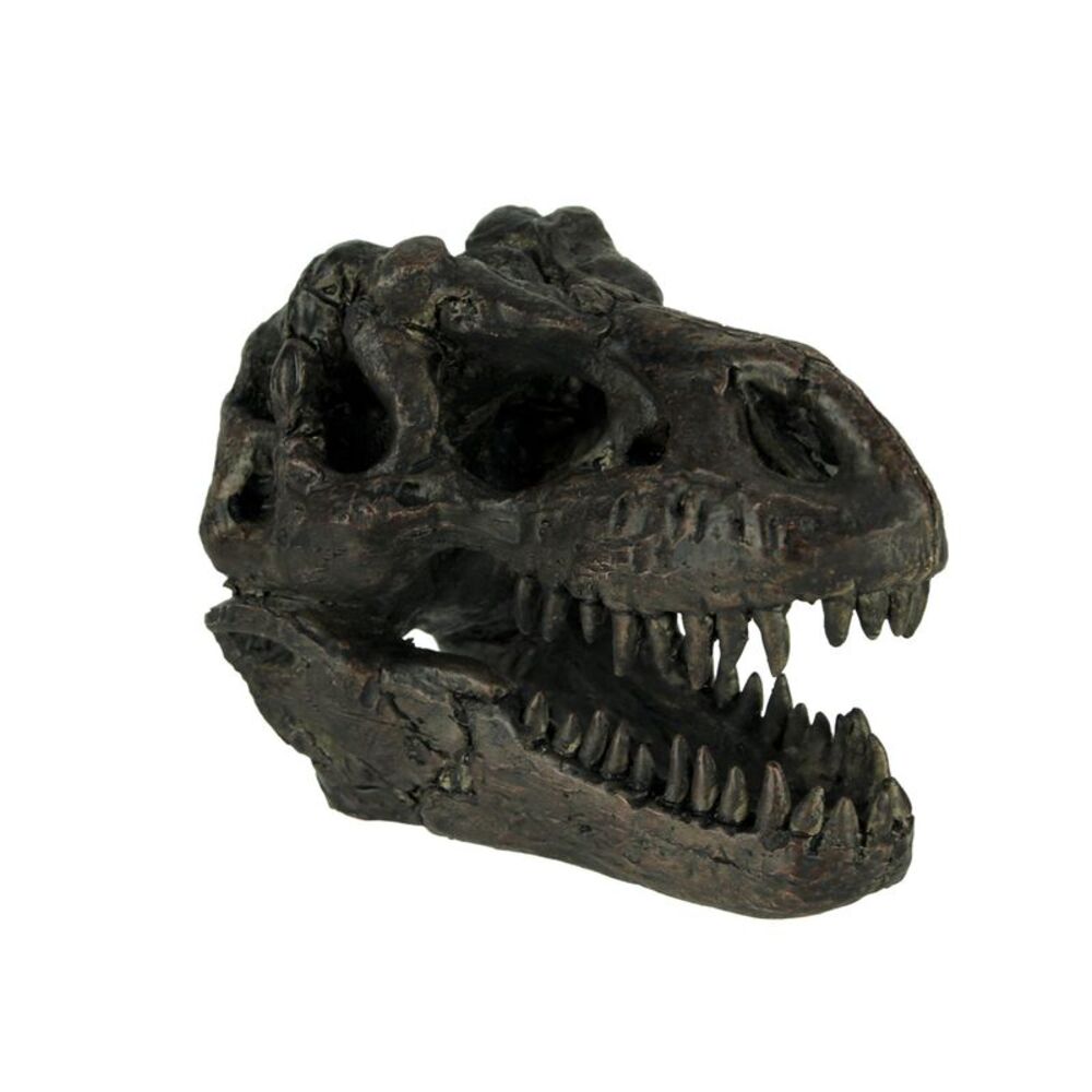 5.75 In Tyrannosaurus Rex Dinosaur Skull Fossil Statue Resin T-Rex Head